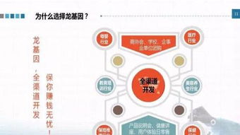 龍基因加盟 實(shí)體店培訓(xùn)成就火爆加盟店，教育信息咨詢助力創(chuàng)業(yè)成功